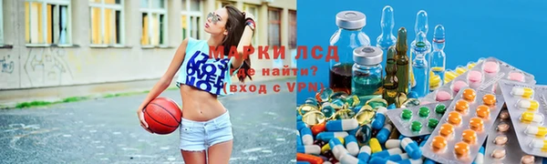 прущая мука Дмитриев