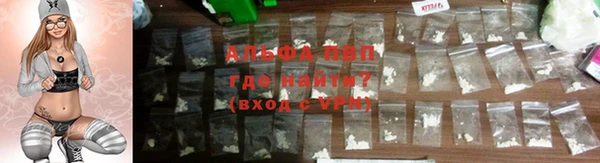 прущие грибы Беломорск