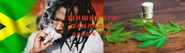 прущие грибы Беломорск