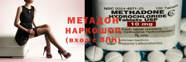 прущие грибы Беломорск