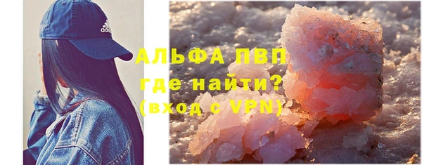 прущие грибы Беломорск