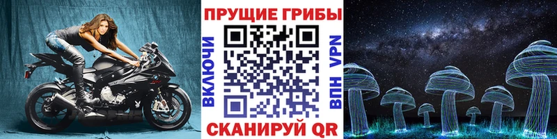 где купить наркоту  Верхняя Пышма  Галлюциногенные грибы GOLDEN TEACHER 