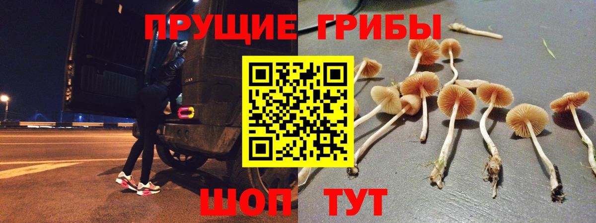 Псилоцибиновые грибы Cubensis  Вход с VPN  Верхняя Пышма 